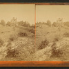 Old Fort Holmes.
