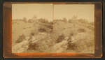 Old Fort Holmes.