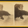 Robinson's Folley and [the Women] on the beach.