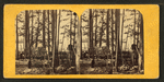 Indian camping ground at Huron Mountain, fish drying on poles.