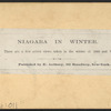 View of Niagara in Winter.