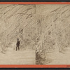 View on Goat Island.