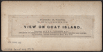 View on Goat Island.