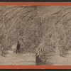 View on Goat Island.