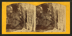Left bank, Munising River, Grand Island, L.S.