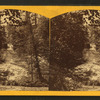 Laughing Whitefish Falls, 25 miles from Marquette, L.S.