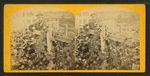 View of a man standing in a vineyard.