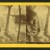 Minnehaha Falls.