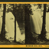 Minne-ha-ha, "laughing water".