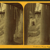 Minnehaha winter view.