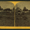 Booth's flower garden at Minnehaha.