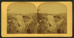 Minnehaha Falls, Minnesota.