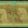 Minnehaha Falls.