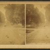 View of a road with trees.