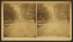 View of a road with trees.