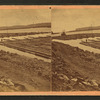 View of logs being floated down the Mississippi river.