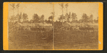 Morrison's(?) camp -- west view.