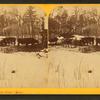 Among the pines, Minn.