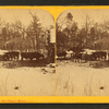 Among the pines, Minn.