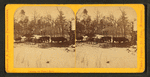 Among the pines, Minn.