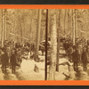 Pineries of Minnesota -- camp.