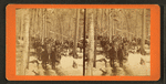 Pineries of Minnesota -- camp.