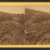 Log jam, looking up the dalles, Taylor's Falls.