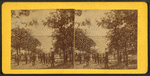 Group of people on the bank of the St. Croix river.