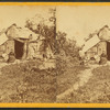 View in the dalles of the St. Croix.