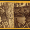 View in the dalles of the St. Croix.