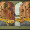 Rafting driftwood, lower falls of St. Croix river, Minn.