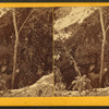 Natural wells--dales, St. Croix.