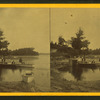 Views about the lake.