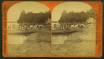 View of people in boats and swimming in the lake.