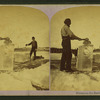 Minnesota ice harvest.
