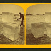 Minnesota ice harvest.