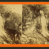 Bridal veil.