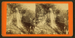 Bridal veil.