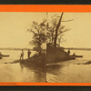 Lake Calhoun.