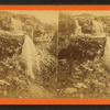 Silver cascade.