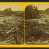View in the dalles of the St. Louis.