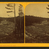 View in the dalles of the St. Louis.