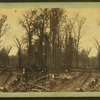 View of road through the woods.