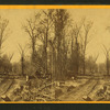 View of road through the woods.