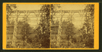 View of a railroad bridge from below.