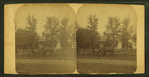 M. O. McNiff's "Shack", Dover, Minn.
