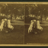 Petrified stump from field where custer fell.