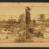 Bridge with a creek below.