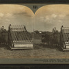 Loading alfalfa with a hay loader, Lincoln, Nebraska.