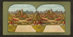 Flowers and statuary, Shaw's Garden, St. Louis.